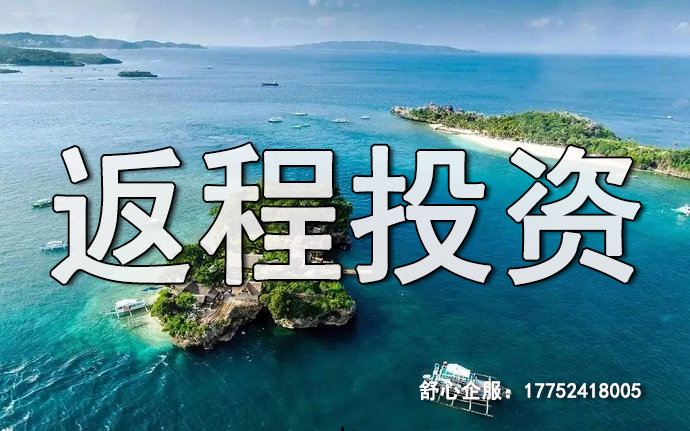 大型企業(yè)返程投資FDI架構(gòu)案例,全球化布局參考